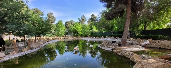 باغ مشهد