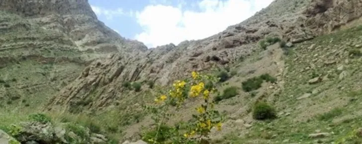 منطقه ییلاقی اسفجیر