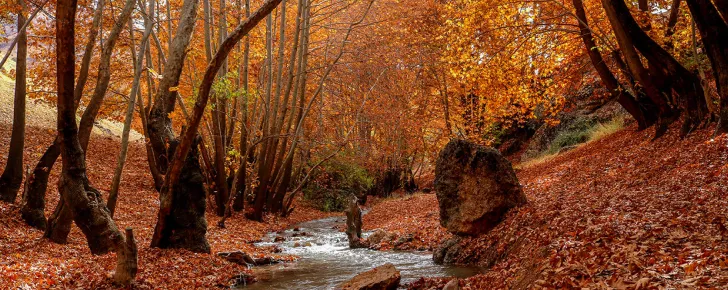 عنبران مشهد