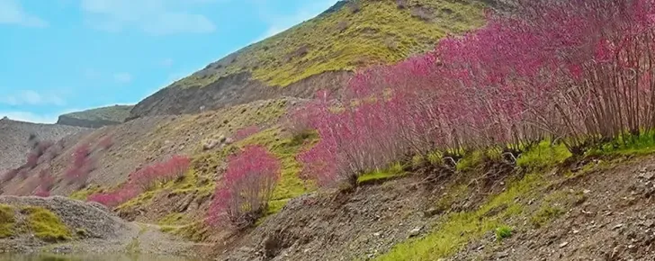 دره ارغوان یکی از تماشایی ترین جاذبه های طبیعی مشهد