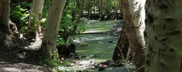 روستای نغندر