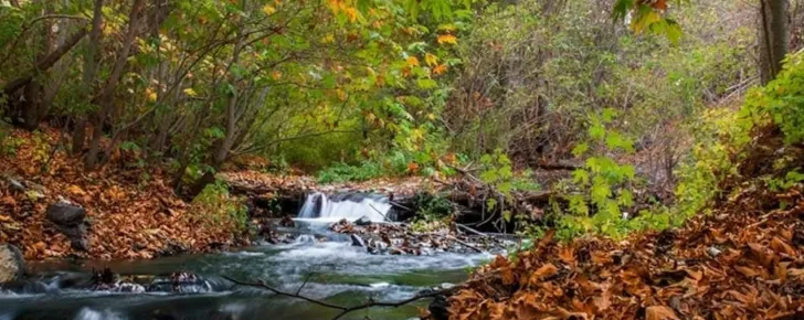 رودخانه پنج دره