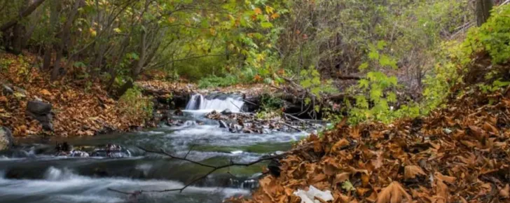 طرقبه از جاهای دیدنی نزدیک مشهد