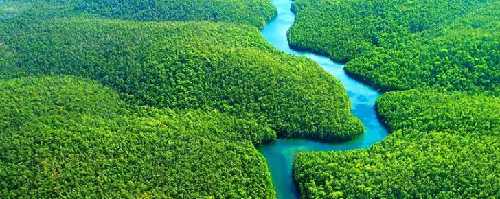 جنگل های باراتی آمازون از جاهای های دیدنی برتر جهان